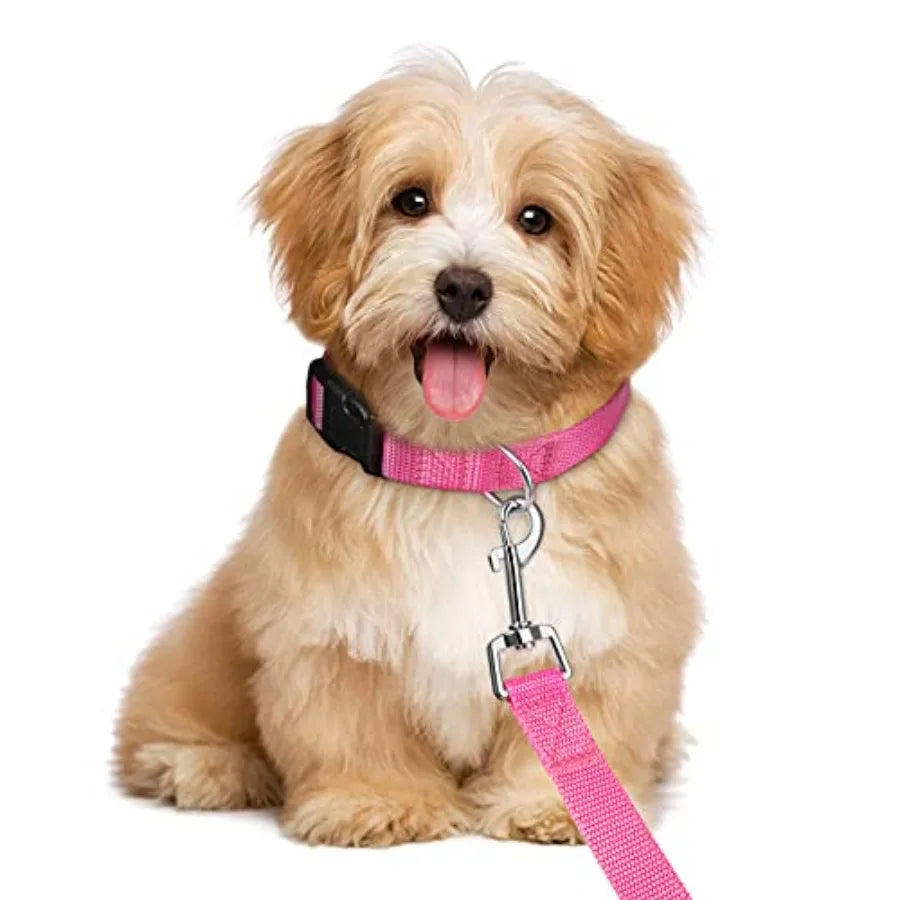 8 Pieces Dog Collar and Leash Set Nylon Adjustable Dog Collars and Leash Personalized Puppy Supplies for Small Medium Large Pet