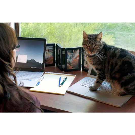 Cat Laptop Heated Bed - Cat Computer with Heated Surface, Realistic Kitty Laptop with Adjustable Screen, Lightweight Toy Gadget