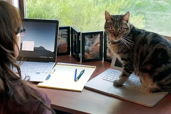Cat Laptop Heated Bed - Cat Computer with Heated Surface, Realistic Kitty Laptop with Adjustable Screen, Lightweight Toy Gadget
