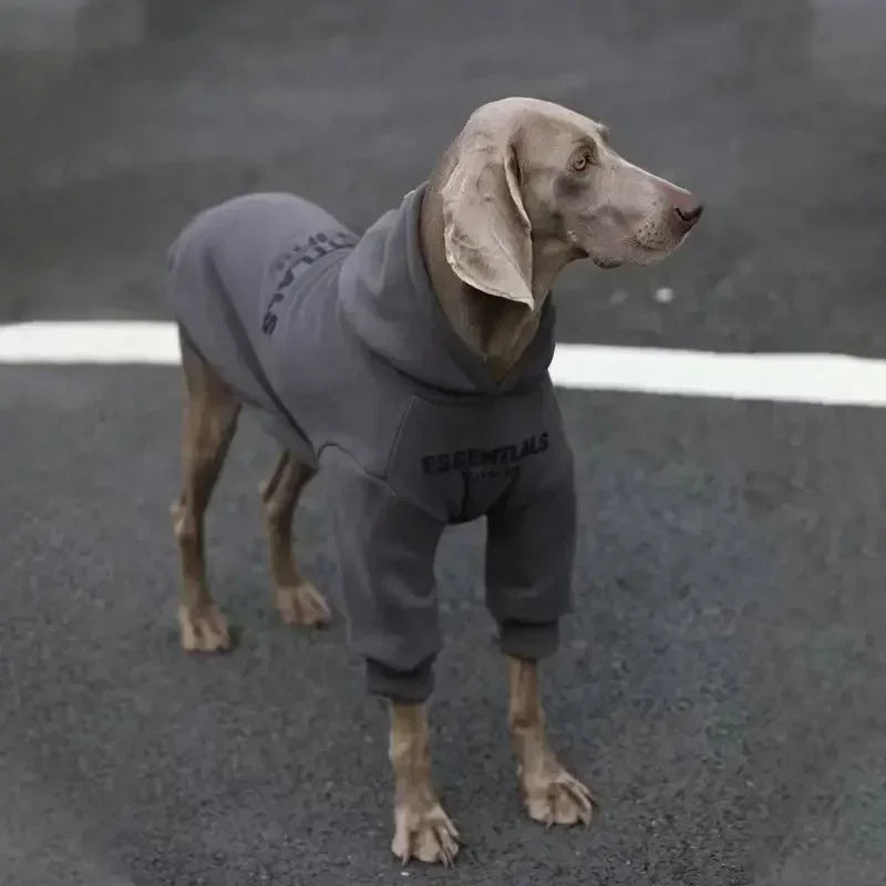 large dog clothes autumn and winter padded and thickened color blocking hooded English dog sweater