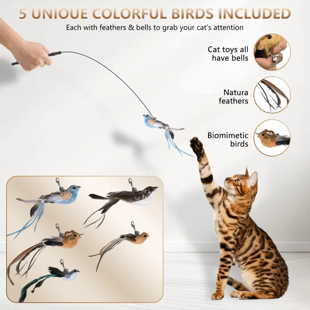 Cat Toys for Indoor Cats, Interactive Bird Cat Toy Self-Holding Suction Base with 5 Replaceable Birds, Door Hanging String, Feat