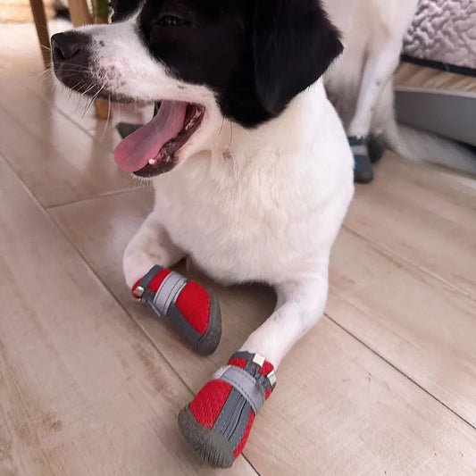 Breathable Mesh Dog Shoes Waterproof Anti Slip Puppy Booties for Doggy Hot Pavement Winter Snow Hiking Travel Dog Paw Protectors