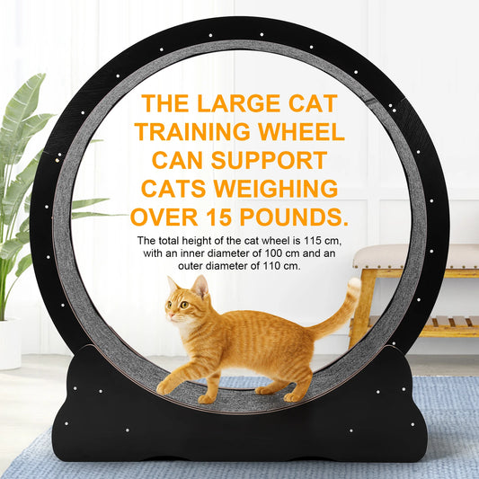 NEW Interactive Cat Mute Treadmill Cat Exercise Wheel Running Wheel Fitness Roller Cat Climbing Frame for Indoor Cat Running Toy