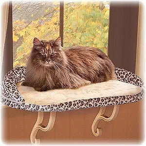 Pet Products Bolster Kitty Sill Cat Window Perch Bed for Large Cats, Orthopedic Window Hammock Holds 40 lbs, Washable Cover,