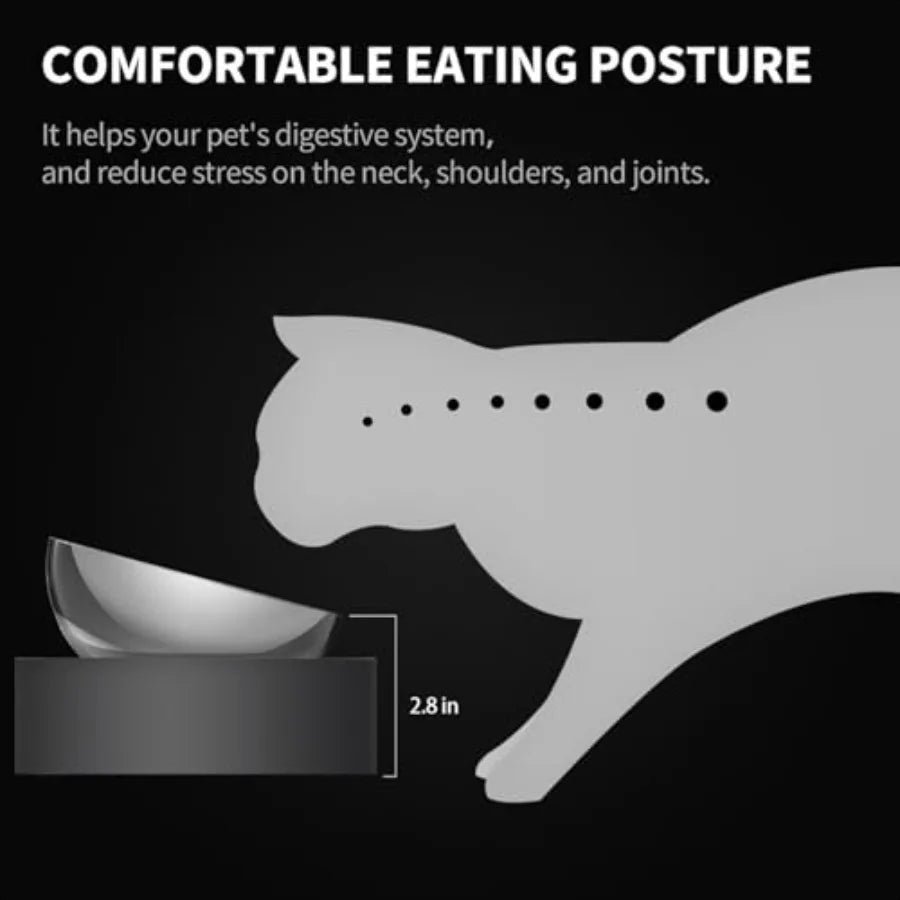 Raised Dog Cat Food Bowl 304 Stainl Steel Elevated Pet Food and Water Bowl Dishes Elevated Cat Bowls NonSlip Tilted Cat Bowl No