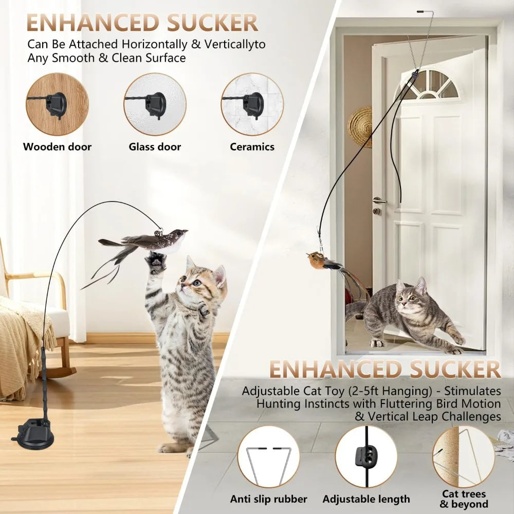 Cat Toys for Indoor Cats, Interactive Bird Cat Toy Self-Holding Suction Base with 5 Replaceable Birds, Door Hanging String, Feat