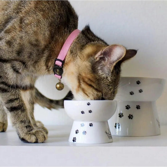 Raised Cat Treats Bowl with Adorable Design for Pets Assorted Colors Perfect for Indoor Cats Keeps Food Clean and Reduces Neck