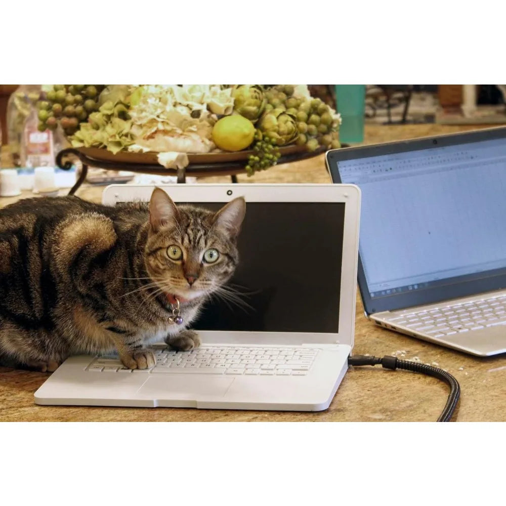 Cat Laptop Heated Bed - Cat Computer with Heated Surface, Realistic Kitty Laptop with Adjustable Screen, Lightweight Toy Gadget