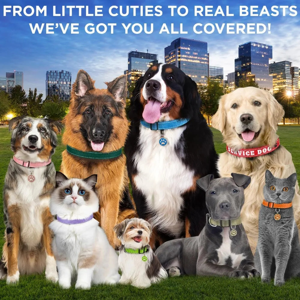 Reflective Dog Collar β Violet β S β Basic Nylon Pet Collar οΌQuick Release Buckle οΌ Fits Small, Medium and Large Dogs, Puppies