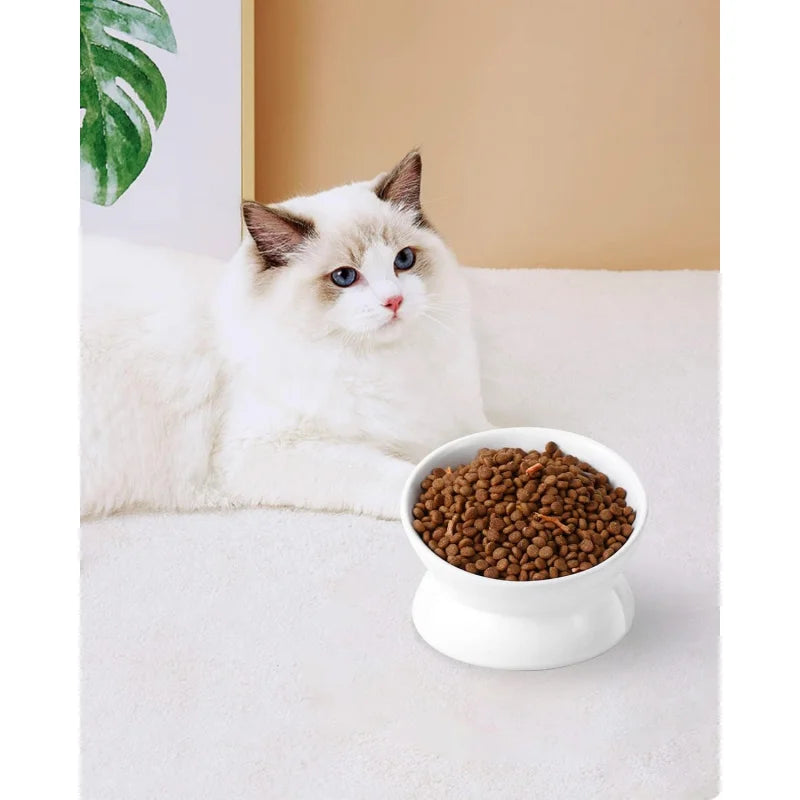 Elevated Food Bowl, 5 Oz Ceramic Raised and Tilted Bowl, Anti Vomiting and Protect Pets' Spines Dishes Small Dog,