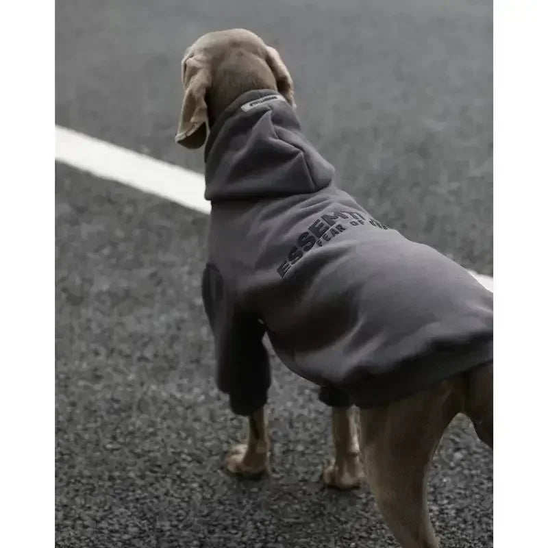 large dog clothes autumn and winter padded and thickened color blocking hooded English dog sweater