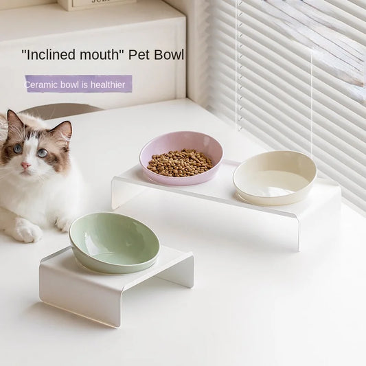 Ceramic Double Pet Bowl with Iron Frame
