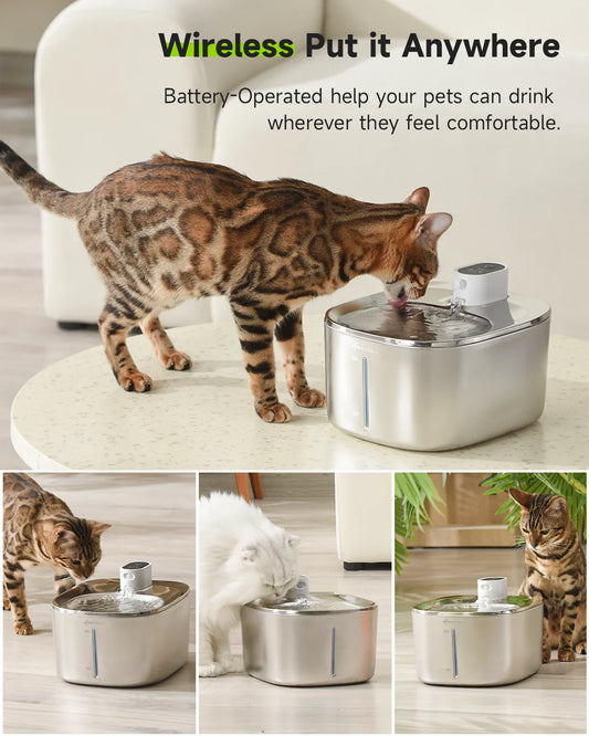 Wireless Cat Water Fountain for Healthy Hydration