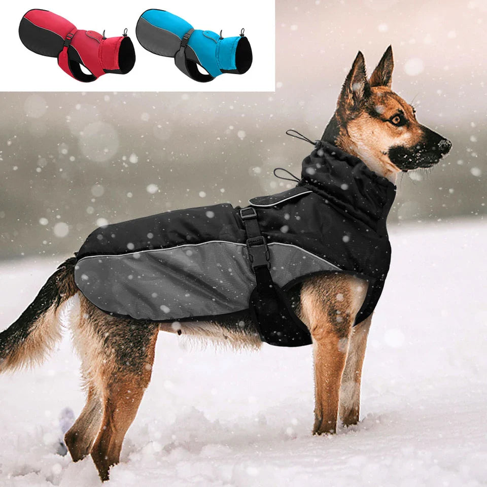 Dog Coats