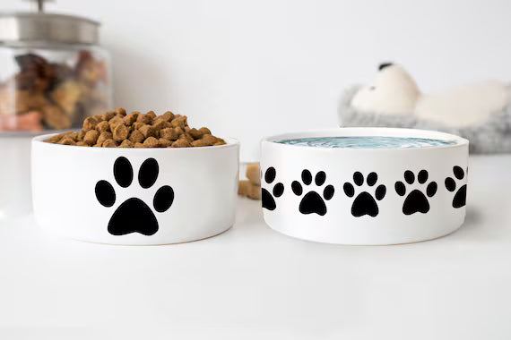Dog Food Dishes