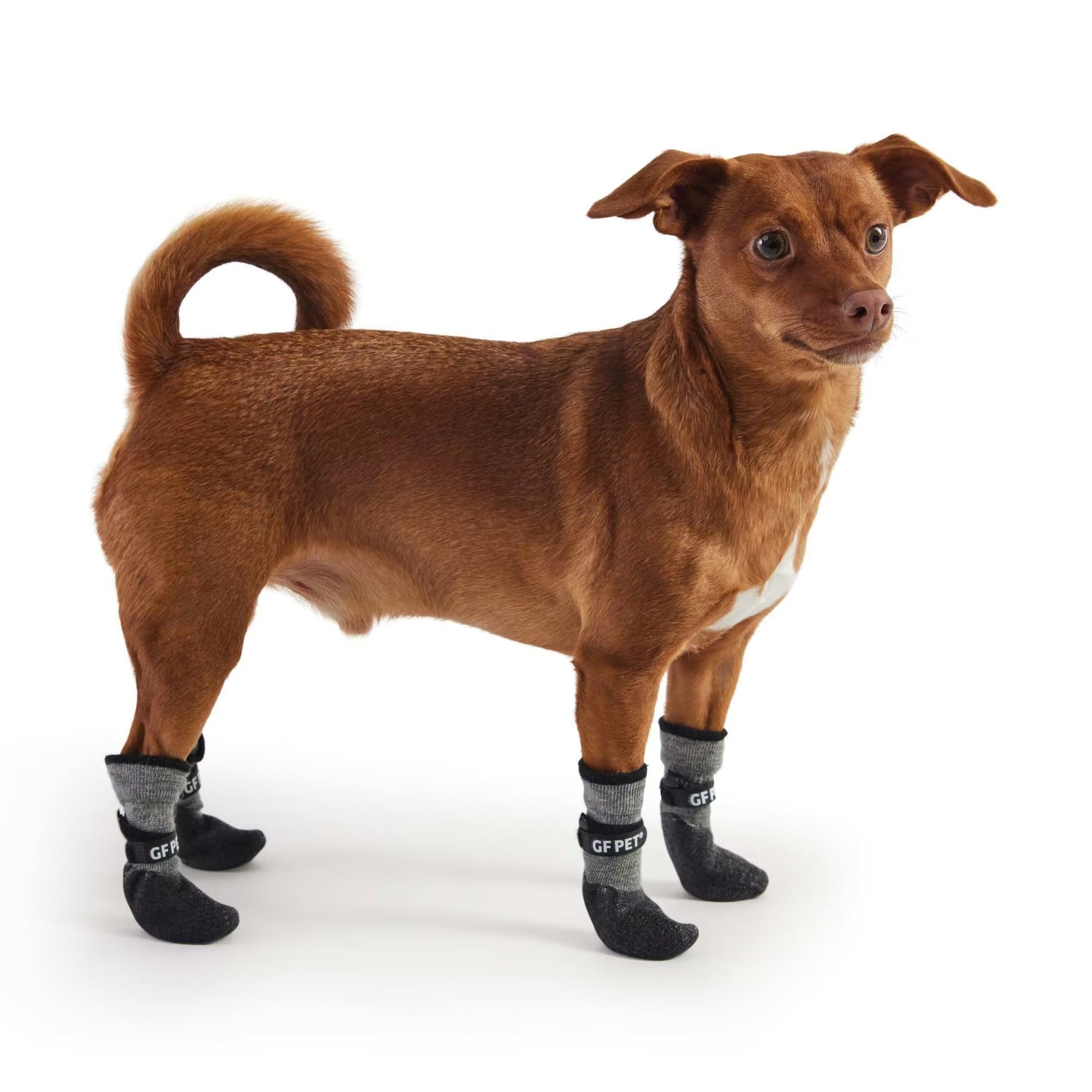 Pet Boots