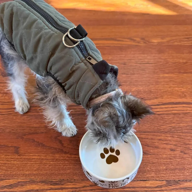 Dogs Dish -Round Ceramic Food/Bowl with High Walls Pets, Dishwasher Safe, Small Dogs, Cats, Reptiles,