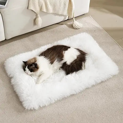 Fluffy Dog Cat Bed Mat 19.6x31.4 inch, Washable Soft Plush Faux Fur Warm Area Puppy Pads Blanket for Indoor Pet Sleep Cushion Wh