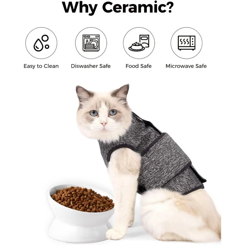 Elevated Food Bowl, 5 Oz Ceramic Raised and Tilted Bowl, Anti Vomiting and Protect Pets' Spines Dishes Small Dog,