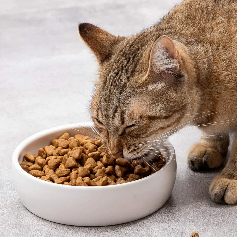 Ceramic Pet Bowl Cats,Classic Ceramic Dish Dog Bowls Food and,12 Ounce