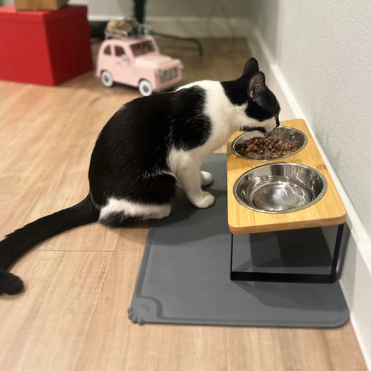 Upgraded Elevated Cat Bowls with Food Mat 15°Tilted Stand Anti Vomiting Raised Cat Dishes 2 Stainless Steel Bowls for Puppy
