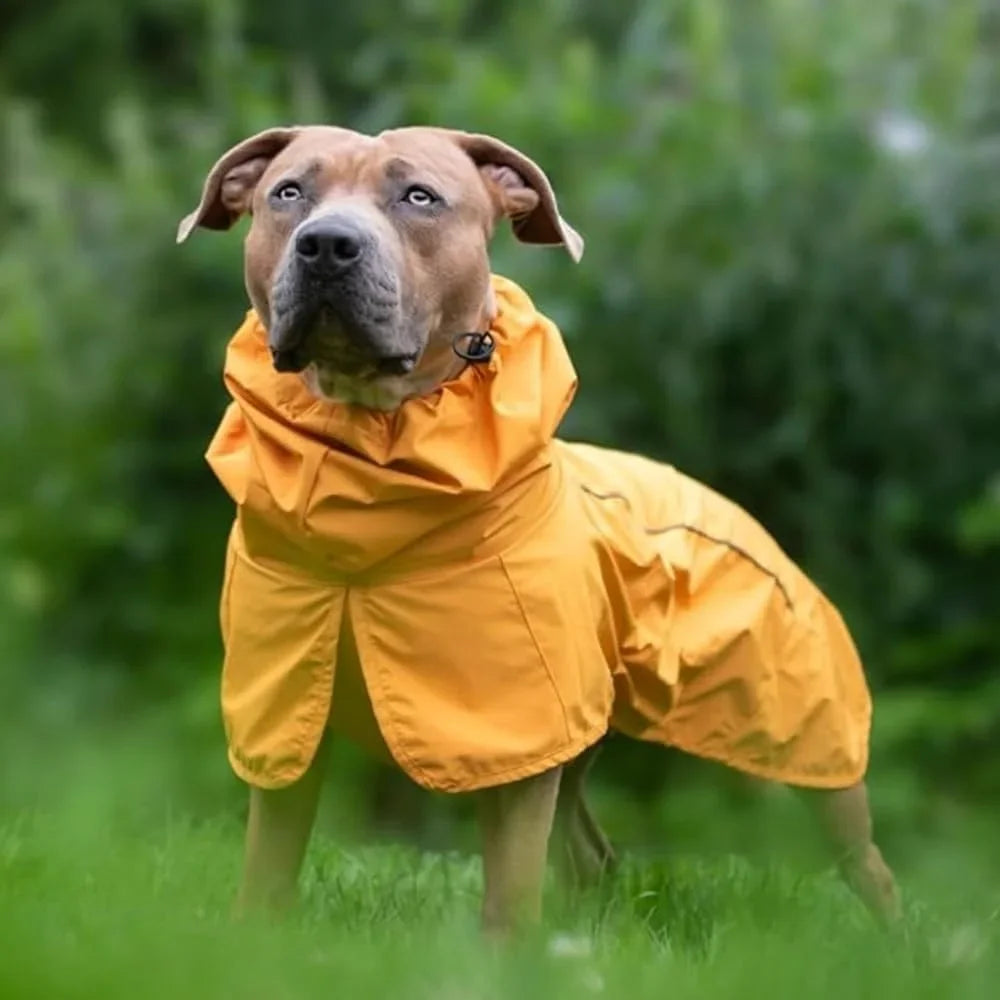Waterproof Dog Raincoat Windproof Full-Body Jacket Small Medium Large Extra Large Dogs Reflective Breathable Adjustable Neck