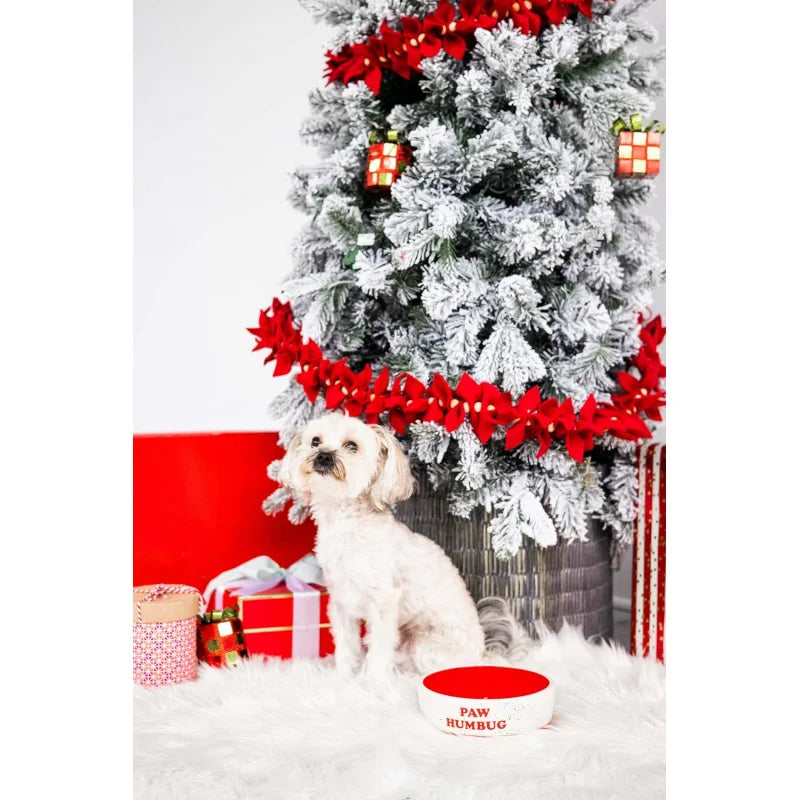 Paw Humbug Pet Bowl, Speckled Dog and Food Dish, Holiday , Holds 3 Cups, Medium
