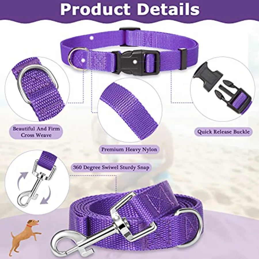 8 Pieces Dog Collar and Leash Set Nylon Adjustable Dog Collars and Leash Personalized Puppy Supplies for Small Medium Large Pet
