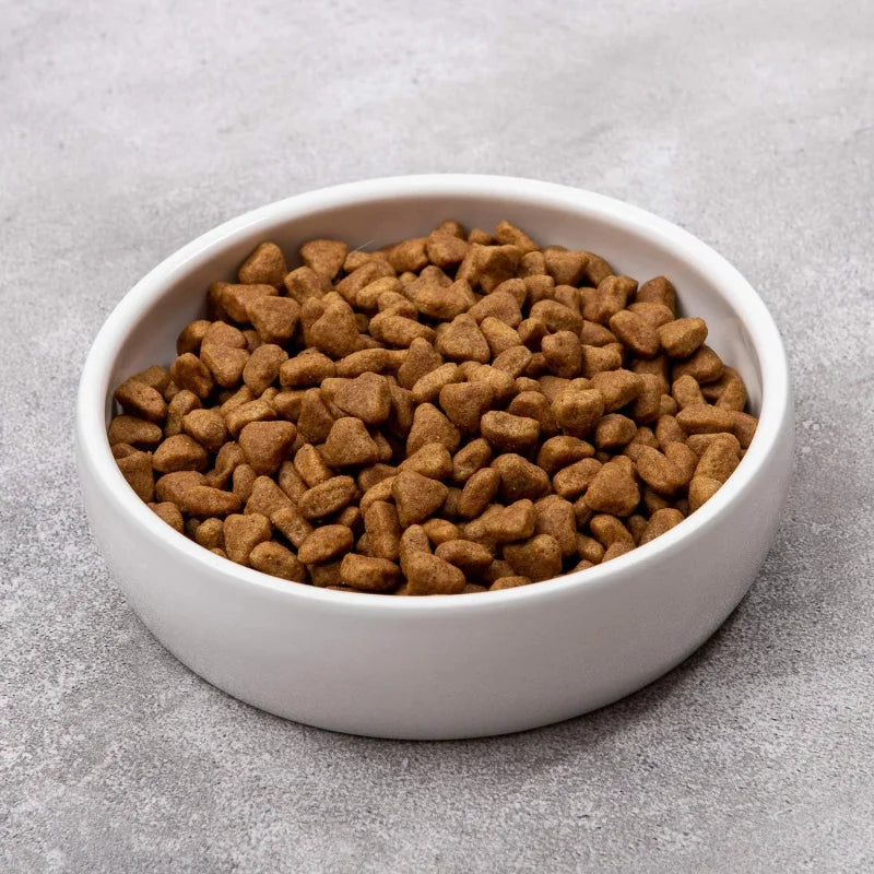 Ceramic Pet Bowl Cats,Classic Ceramic Dish Dog Bowls Food and,12 Ounce