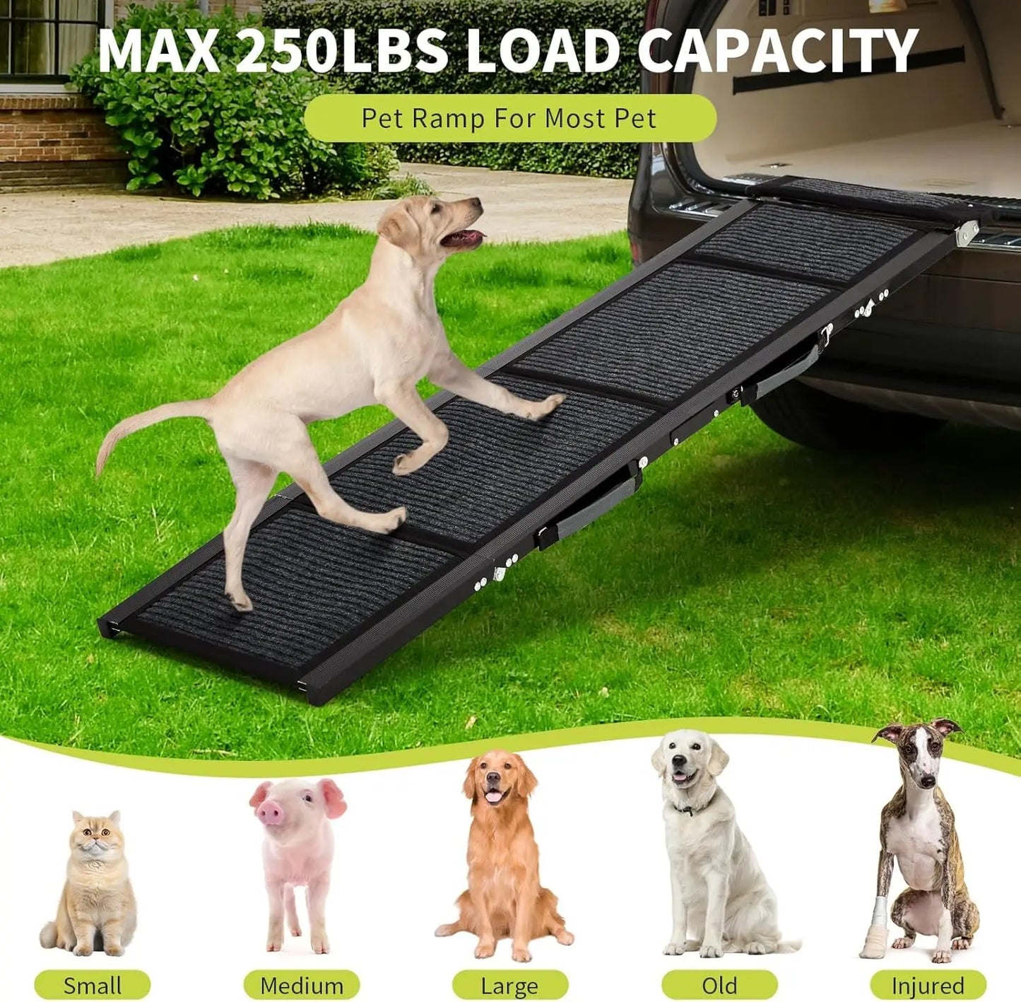 Dog Ramp for Car, Large Folding Pet Stair Ramps for Truck, SUV, Outdoor Dog Car Ramp for Medium & Large Dogs,Portable Pet Steps