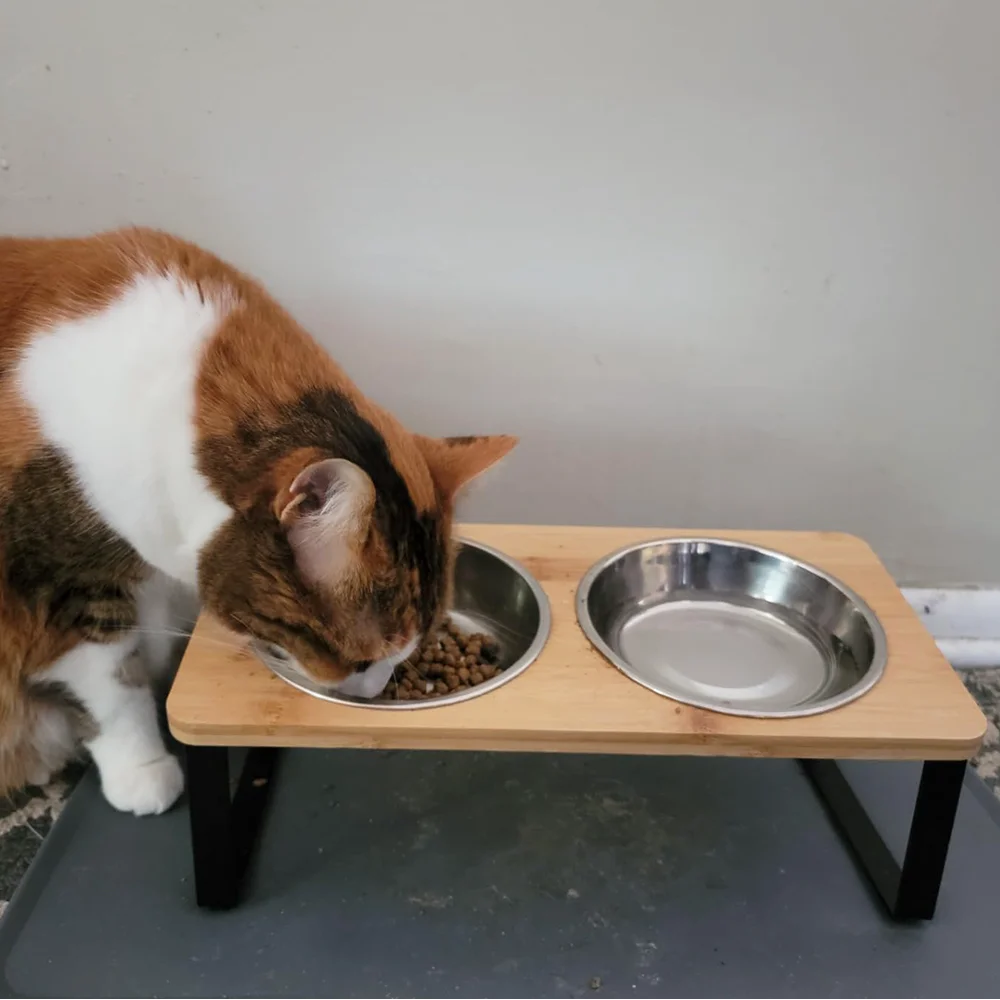 Upgraded Elevated Cat Bowls with Food Mat 15°Tilted Stand Anti Vomiting Raised Cat Dishes 2 Stainless Steel Bowls for Puppy