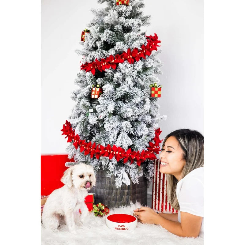 Paw Humbug Pet Bowl, Speckled Dog and Food Dish, Holiday , Holds 3 Cups, Medium