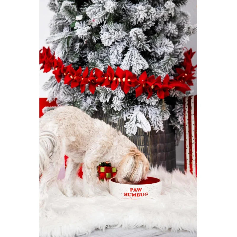 Paw Humbug Pet Bowl, Speckled Dog and Food Dish, Holiday , Holds 3 Cups, Medium