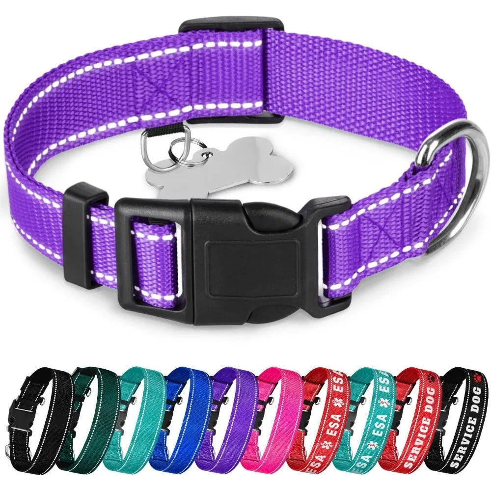 Reflective Dog Collar – Violet – S – Basic Nylon Pet Collar ，Quick Release Buckle ， Fits Small, Medium and Large Dogs, Puppies