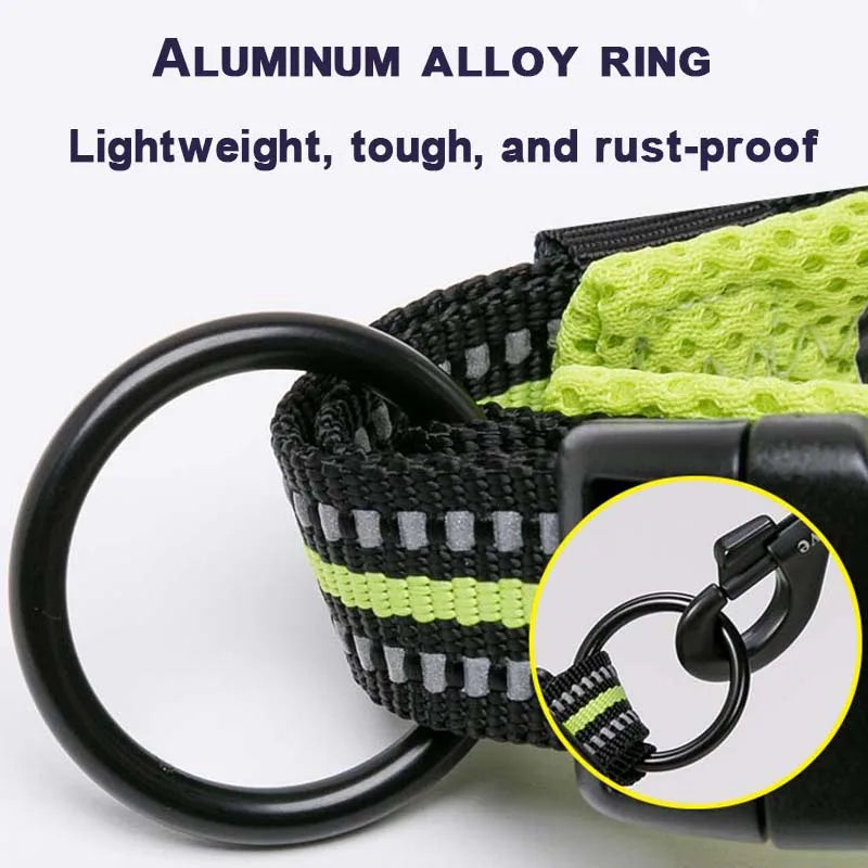 Dog Walking Collar Comfort Padded with Buckle Nylon Traveling Collar Tactical Dog Suplies 11 Colors Size XXS-XXXL