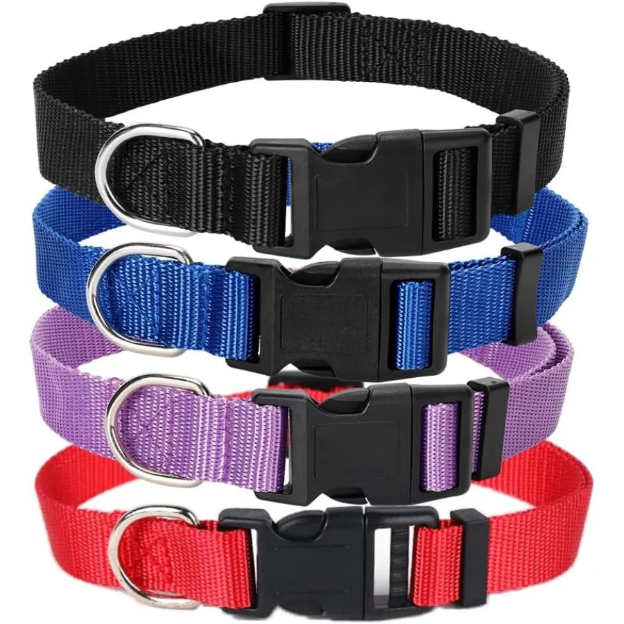 4 Pack Nylon Dog Collars Classic Adjustable Pet Dog Collar for Small Medium and Large Dogs M Black Blue Red Purple