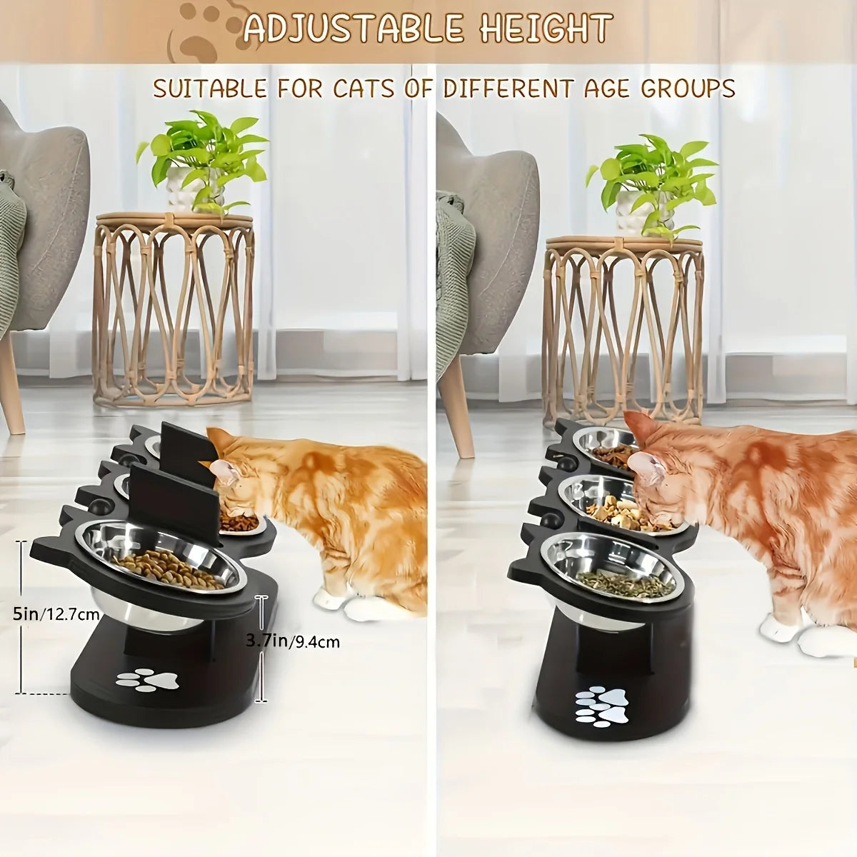 Elevated Cat Bowls 15° Tilted Raised Cat Food Bowls with Wooden Stand Anti Vomiting 3 Stainless Steel Bowls for Cats and Puppy