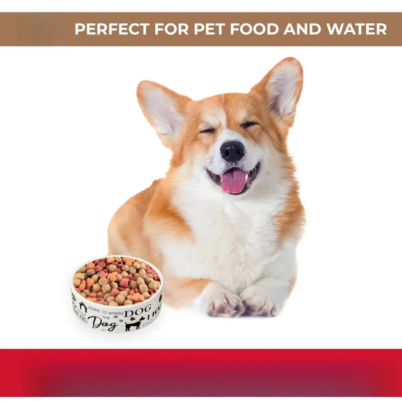 Dogs Dish -Round Ceramic Food/Bowl with High Walls Pets, Dishwasher Safe, Small Dogs, Cats, Reptiles,