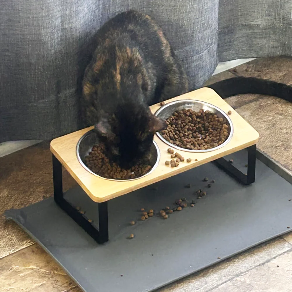 Upgraded Elevated Cat Bowls with Food Mat 15°Tilted Stand Anti Vomiting Raised Cat Dishes 2 Stainless Steel Bowls for Puppy