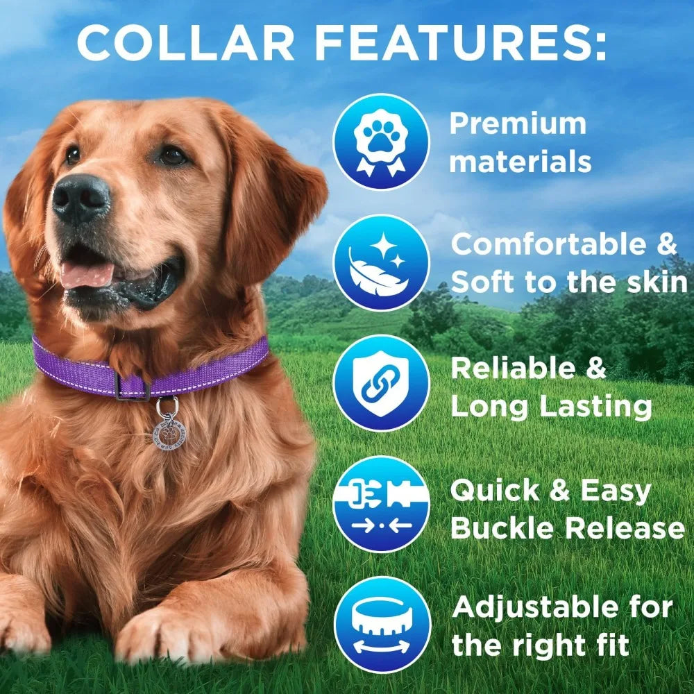 Reflective Dog Collar – Violet – S – Basic Nylon Pet Collar ，Quick Release Buckle ， Fits Small, Medium and Large Dogs, Puppies