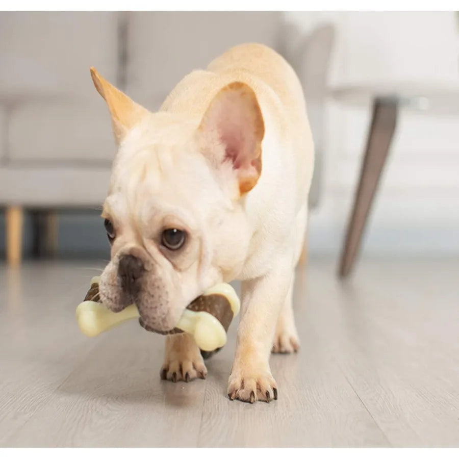 Indestructible Dog Chew Toys for Aggressive Chewers Large Breed 2 Pack Beef Flavor Durable Nylon Bones for Large Medium Small P