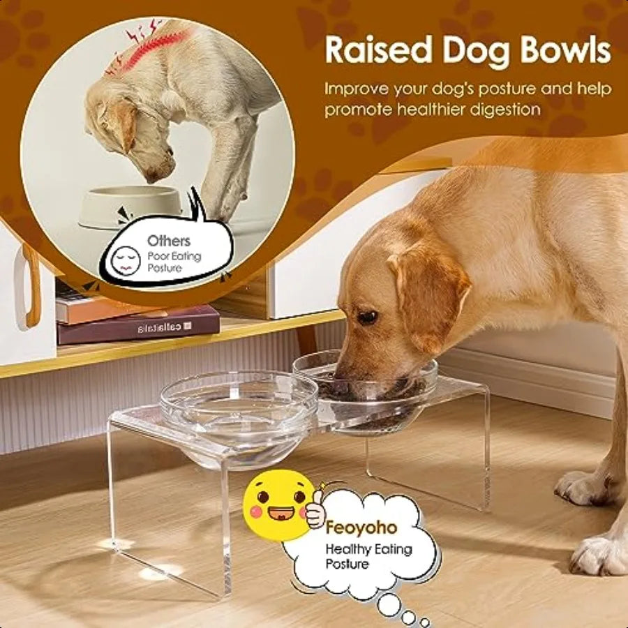 Acrylic Elevated Dog Cat Bowls Pet Feeder Double Bowl Raised Stand Comes with 2 Removable Glass Bowls and 2 Stainl Steel Bowls.